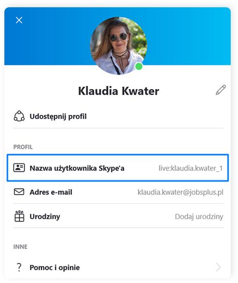 Skype profil uzytkownika 2