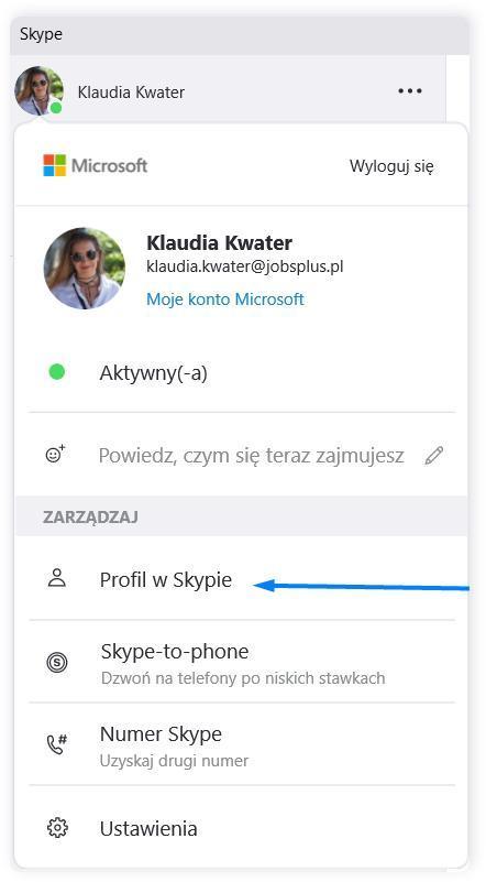 Skype profil uzytkownika.png